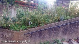Bagnaia - La scalinata che collega viale Fiume alla scuola