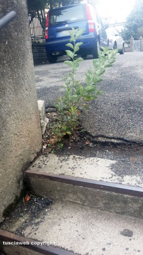 Bagnaia - La scalinata che collega viale Fiume alla scuola
