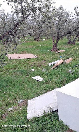 Viterbo - I rifiuti in strada Montigliano