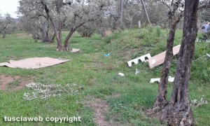 Viterbo - I rifiuti in strada Montigliano