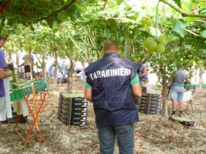 I carabinieri dell’ispettorato del lavoro