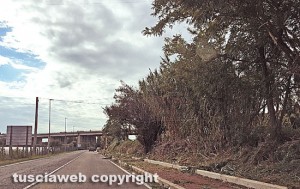 Viterbo - Strada Bagni