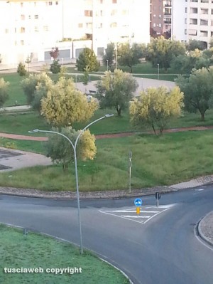 Viterbo - Il parco della Capretta