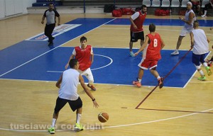 Sport - Basket - L'amichevole tra Stella azzurra e Orvieto