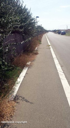 Tarquinia - La strada che conduce alla foce del fiume Marta