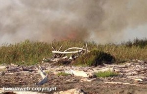 Tarquinia - Incendio a Marina Velca