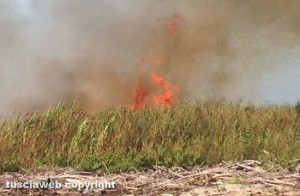 Tarquinia - Incendio a Marina Velca