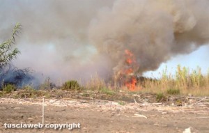 Tarquinia - Incendio a Marina Velca