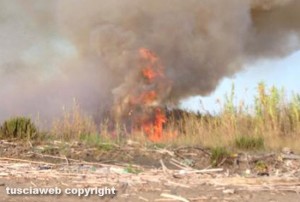 Tarquinia - Incendio a Marina Velca