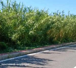 Viterbo - Pista pedonale 