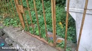 Viterbo - Degrado in via Prato Giardino