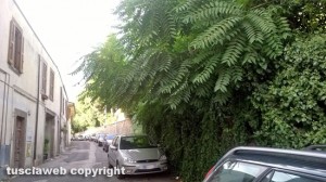 Viterbo - Degrado in via Prato Giardino