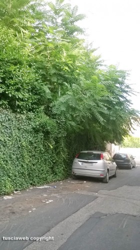 Viterbo - Degrado in via Prato Giardino