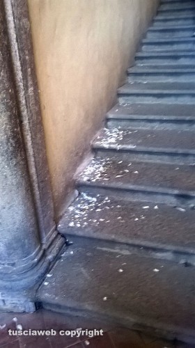 Palazzo dei Priori - Gli escrementi sulla scalinata