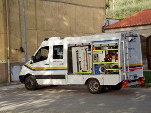Nidi di vespe e calabroni, i volontari dell'Asvom al lavoro