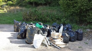 San Martino al Cimino - Viterbo Civica ripulisce Fiescoli