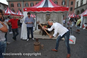 Festival degli Etruschi