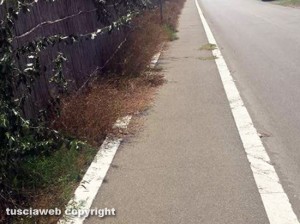 Tarquinia - La strada che conduce alla foce del fiume Marta