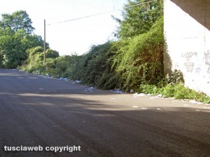 Viterbo - Rifiuti su Strada Castiglione-Occhi Bianchi