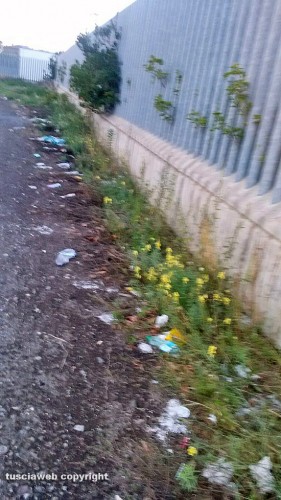 Viterbo - I rifiuti vicino al tribunale