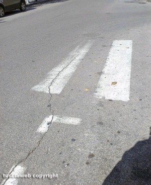 Viterbo - Piazza Crispi - Strisce pedonali a metà