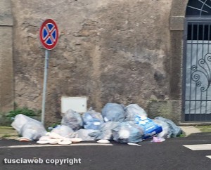Vallerano - Rifiuti in strada