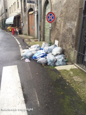 Vallerano - Rifiuti in strada