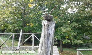 Viterbo - Parco dell'aeronautica in stato di abbandono
