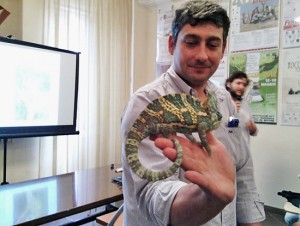 Coe Lazio - Animali esotici