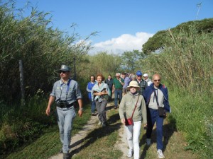 ForestAmica alle Saline di Tarquinia