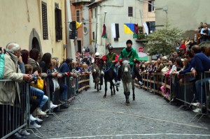 Canepina - Palio degli asini