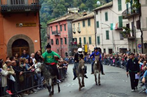 Canepina - Palio degli asini