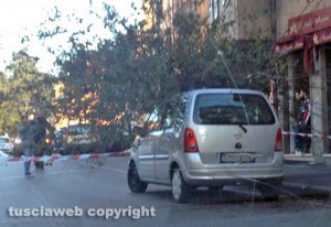 Viterbo - Piazza della Rocca - Albero crolla su un'auto