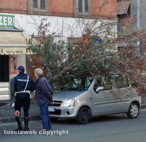 Viterbo - Piazza della Rocca - Albero crolla su un'auto
