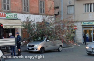 Viterbo - Piazza della Rocca - Albero crolla su un'auto