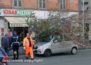 Viterbo - Piazza della Rocca - Albero crolla su un'auto