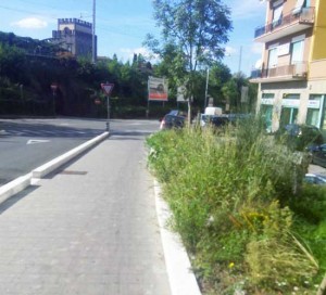 Viterbo - Le erbacce su via Genova