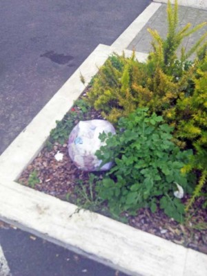 Viterbo - Le erbacce su via Genova