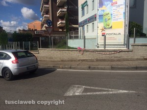 Omicidio del Riello - Il mazzo di fiori lasciati per Venzi, sul luogo del delitto