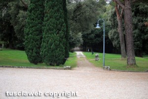 Bagnaia - Villa Lante - Leccio caduto - La zona interdetta