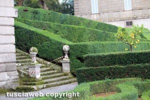 Bagnaia - Villa Lante - Leccio caduto - La zona interdetta