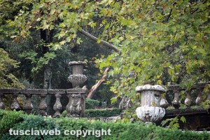 Bagnaia - Villa Lante - Leccio caduto - La zona interdetta