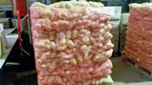 Le patate donate alla Caritas diocesana di Roma 