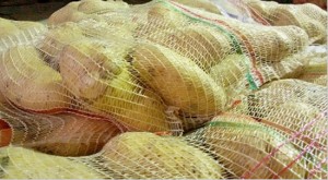 Le patate donate alla Caritas diocesana di Roma 