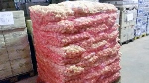 Le patate donate alla Caritas diocesana di Roma 