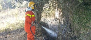 Montefiascone - Asvom in azione