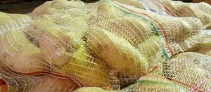 Le patate donate alla Caritas diocesana di Roma