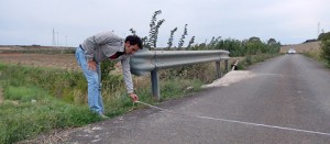 Tarquinia - I rilievi del consigliere Leoncelli in strada del Pidocchio