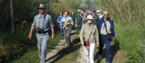 ForestAmica alle Saline di Tarquinia