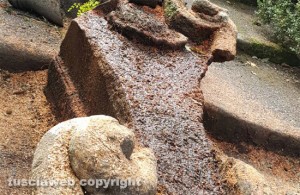 Viterbo - Villa Lante - I danni provocati dal leccio che si è abbattuto sulla fontana del Gambero